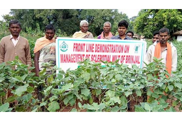 Krishi Vigyan Kendra, NABARANGAPUR-