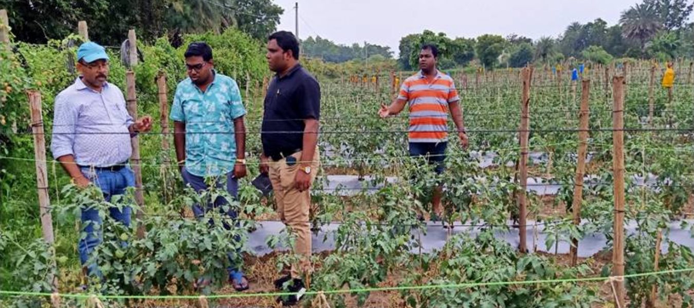 Krishi Vigyan Kendra NABARANGAPUR-2